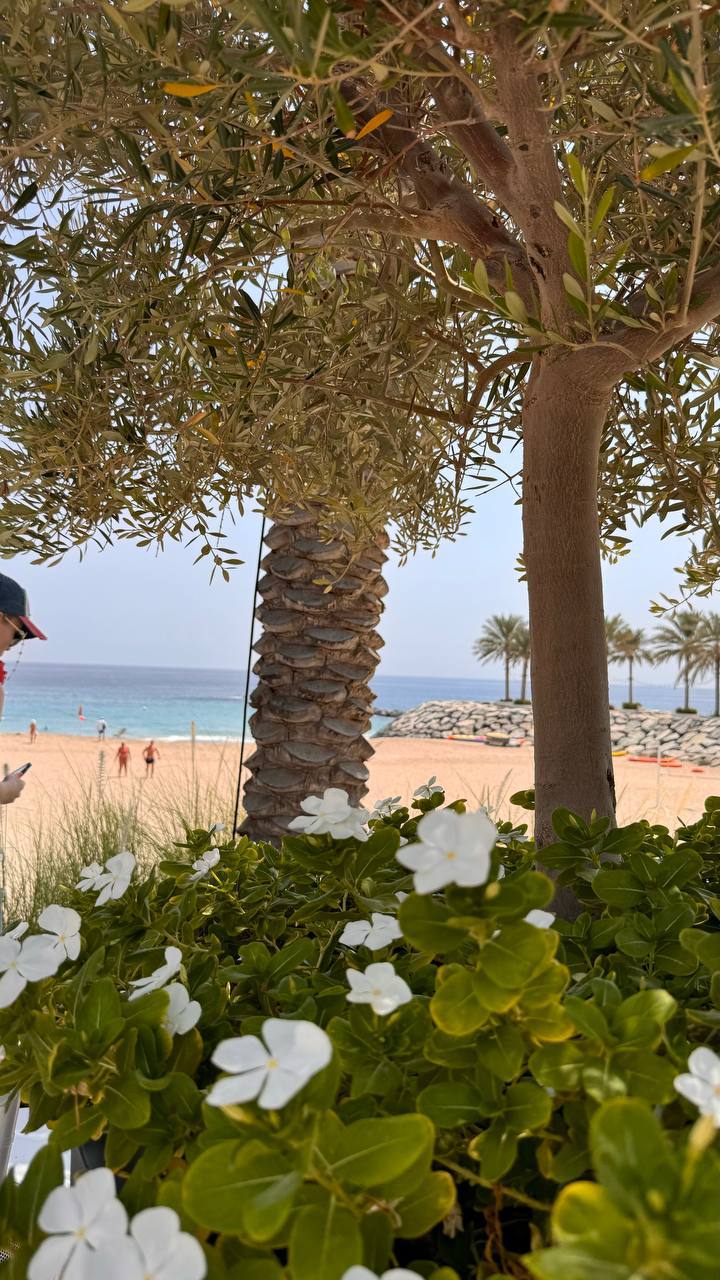 Address Beach Resort Dubai