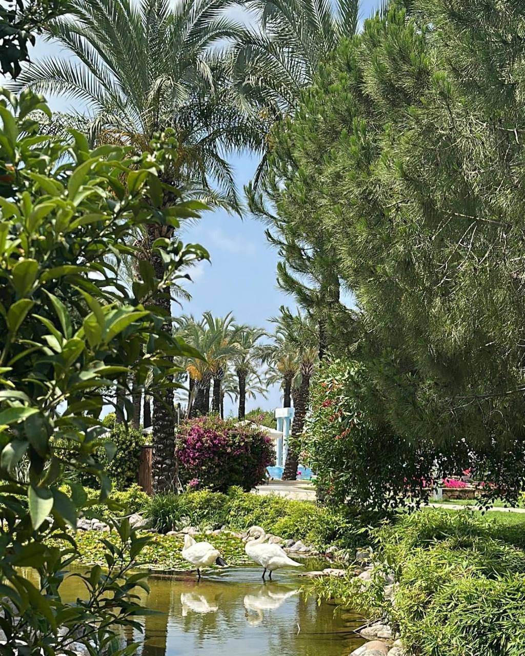 IC Hotels Green Palace