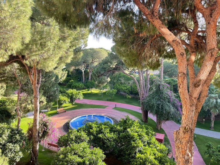 Pine Beach Belek — фото 1
