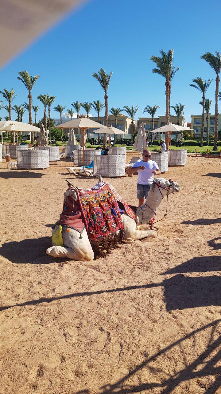 Rixos Seagate Sharm El Sheikh