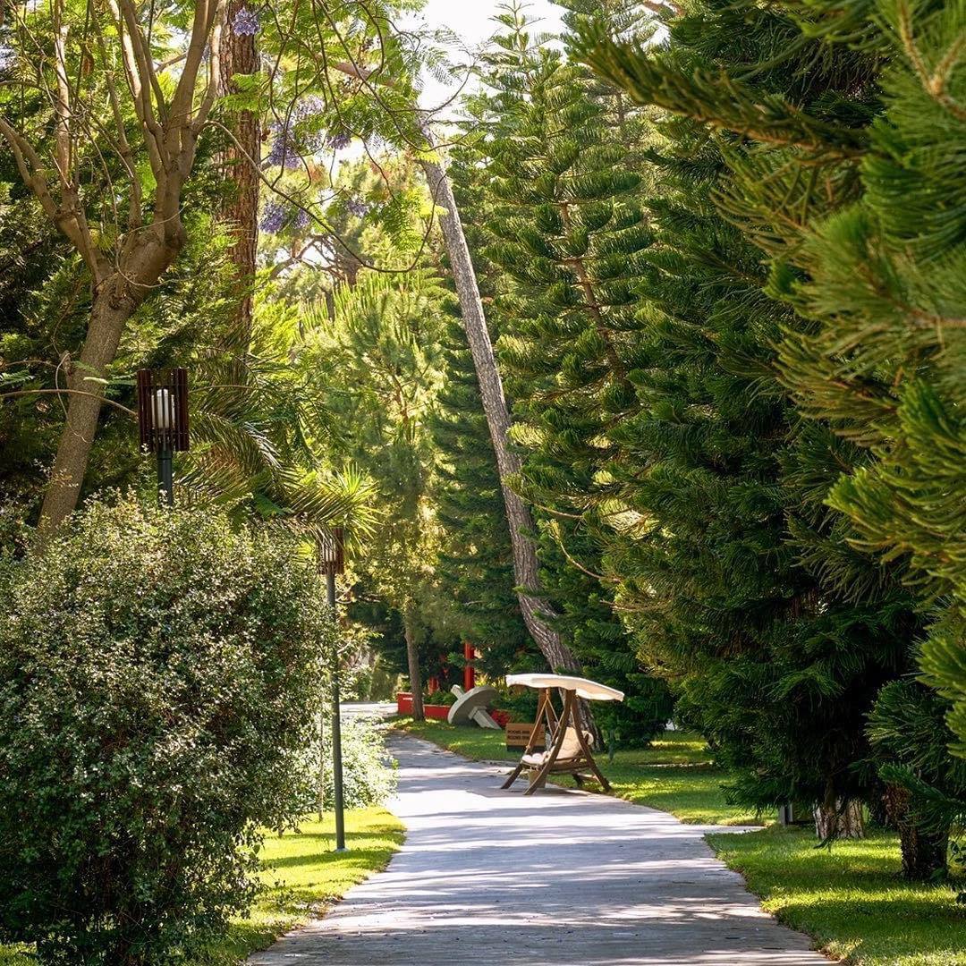 Voyage Sorgun